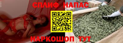 сатива Коммунар