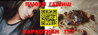 сатива Коммунар
